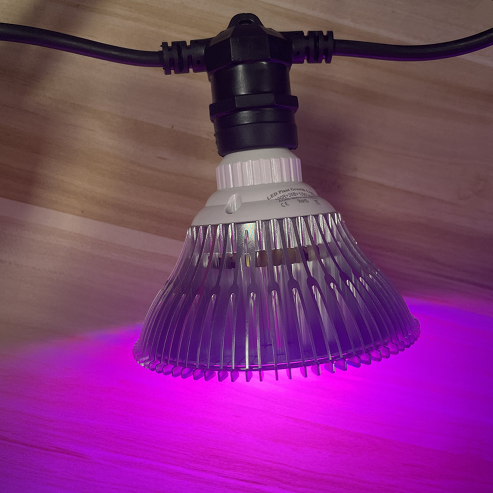 Cabo de LED de 10M à prova d'á - Led Fairy String Lights avaliação e preço